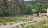 Excursión Senderismo Andon - L'Audibergue du Pont du Loup - Photo 1