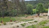 Randonnée Marche Andon - L'Audibergue du Pont du Loup - Photo 1