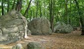 Randonnée Marche Chamarande - Lardy - Le Lièvre d'Or - Photo 4