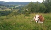 Tour Wandern Péseux - Péseux 18 juin 2019 CAF - Photo 2