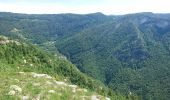 Tocht Stappen Septmoncel les Molunes - 190624 - Jura.2 - Montépile  - Photo 2