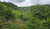Excursión Senderismo La Roche-en-Ardenne - Balade à Maboge - La Roche en Ardennes - Photo 18