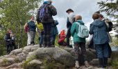 Trail Walking Feldberg - Neuglashütten -Feldberg - Photo 15