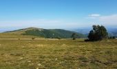 Randonnée Marche Val-d'Aigoual - Mont Aigoual - Cabrillac - Photo 2