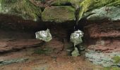 Tour Wandern Sankt Kreuz im Lebertal - boucle col haut de Ribeauvillé - taennchel sentier des roches  - Photo 10