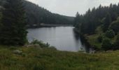 Tocht Stappen Orbey - randonnée des 3 lacs, lac noir , lac blanc et lac du former ( lac des truites) Vosges  - Photo 7