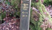 Trail Walking Camors - PR_56_Camors_BA_02_L-Eau_Circuit1b_20230218 - Photo 12