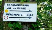 Trail Walking Guebwiller - Dreibannstein (21/5/2020) - Photo 1