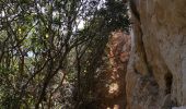 Trail Walking Marseille - Rando tour de la Candelle-Sugiton-Sofmiou - Photo 13