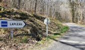 Tour Wandern Lapleau - viaduc rochers noirs - Photo 13