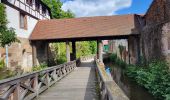 Tour Wandern Molsheim - Molsheim - Fort de Mutzig - Balade dans les vignes - Photo 14