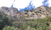 Excursión Senderismo Le Revest-les-Eaux - Le Mont Caume  - Photo 13