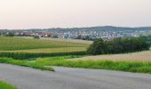 Tocht Te voet Eberdingen - DE-SAV Blauer Balken, Vaihingen/Enz - Weissach - Silbertor - Photo 2