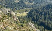 Tocht  Soultzeren - Lac vert gazon du fain lac du forlet - Photo 4