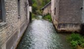 Randonnée Marche Baume-les-Dames - PONT LES MOULINS - Photo 2