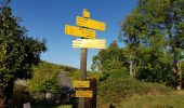 Trail Walking Orcival - La chaine des Puys - Photo 10