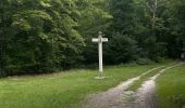 Trail Walking Compiègne - Randonnée en Forêt de Compiègne_51_le Mont du Tremble et les Beaux Monts - Photo 10