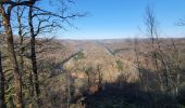 Trail Walking Florenville - rando herbeumont 8-03-2022 - Photo 4