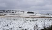 Tour Wandern Peyre en Aubrac - Aumont Aubrac / Le Py auberge les gentianes  - Photo 8