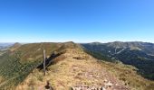 Excursión A pie Laveissière - font de cere bec de l' aigle  col de renonder  - Photo 3