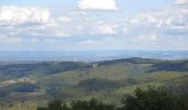 Tour Zu Fuß Bensheim - Rundwanderweg Bensheim Not-Gottes-Kapelle 6: Melibokus-Weg - Photo 2