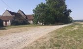 Trail Walking Montrésor - montresor - Photo 6