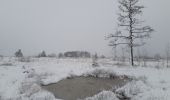 Excursión Senderismo Spa - tour de la fagne de Malchamps entre chiens et loup . dernière rando de cette année 2020 de merde - Photo 3