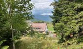 Tocht Stappen Linthal - De l’Etterlematt à Landersen et retour - Photo 2