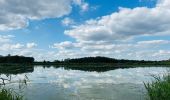 Tour Wandern Zonhoven - de-wijers-platwijers-wijvenheide-instapplaats-paalsteen-groen 2 - Photo 1