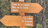 Trail Walking Roquestéron - Roquesteron : la cime de la Cacia - Photo 9