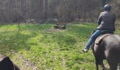 Trail Horseback riding Louviers - forêt de Bord  - Photo 1