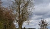 Trail Walking Philippeville - BruBer : Boucle Philippeville-Jamagne - Photo 3