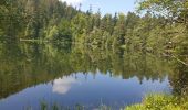 Tour Wandern Vexaincourt - Le charme mystérieux du lac de la Maix - Photo 8