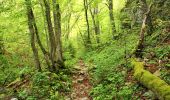 Trail Walking Voreppe - Aiguille de Chalais - Photo 14