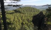 Randonnée Marche Fozières - Fozières col de la Melanque - Photo 7