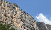 Randonnée Marche Rougon - Point sublime Verdon Blanc Martel 12 km - Photo 6