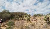 Trail Walking Palasca - corse - Photo 5