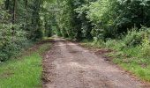 Tour Wandern Ciney - Braibant 060722 - Photo 6