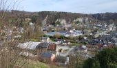 Tocht Stappen Anthisnes - Anthisnes 250225 - Photo 11