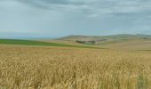 Trail Walking Sangatte - CANI-RADO TOUR (boucle Cap Blanc nez) - Photo 3