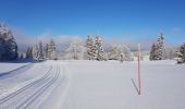 Trail Cross-country skiing Mijoux - Les louvatieres en coupant par le passage des dames - Photo 6