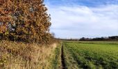 Trail Walking Marche-en-Famenne - Promenade vers le site naturel du fond des vaulx  - Photo 4