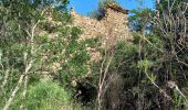 Randonnée Marche Roquebrune-sur-Argens - Pic Bourete - Photo 9