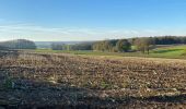 Trail Walking Gerpinnes - Étang du ban à l’automne  - Photo 1