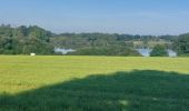 Tour Wandern Theix-Noyalo - PR_56_Theix-Noyalo_CA_03_Moustoir-Lorho-Gorvello_Circuit1b_20250523 - Photo 4