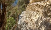 Trail Walking La Palud-sur-Verdon - Verdon - Sentier du Bastidon A/R (partiel) - Photo 3