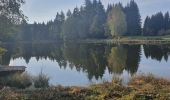 Tour Wandern Écromagny - Les 1000 étangs à Ecromagny - Photo 5