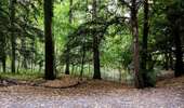 Trail Walking Enghien - Le Parc d'Enghien et ses jardins exceptionnels  - Photo 13