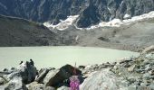 Tocht Stappen Villar-d'Arêne - Villar d'Arène Lac d'Arsine Source de la Romange 21 août 2020 CAF Ecrins - Photo 3