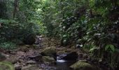 Tour Wandern Sainte-Rose - Cascade Naca - Photo 15